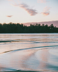 Tranquil sunset over calm ocean waves with tree-lined shoreline in Moorea, French Polynesia.