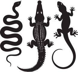 Obraz premium Black silhouette of a coiled snake an alligator and a lizard on a white background reptile animal