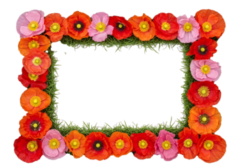 A vibrant rectangular border crafted from lush green grass and an assortment of red, orange, and pink poppy flowers, set against a transparent.
