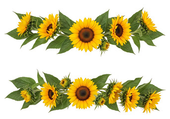Two horizontal floral arrangements featuring vibrant yellow sunflowers with green leaves and buds, isolated on a transparent.