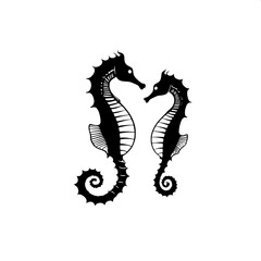 vector illustration of a seahorses 