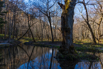 日本の風景　長野　晩秋の上高地