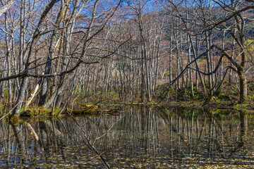 日本の風景　長野　晩秋の上高地