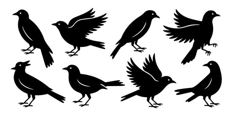 Fototapeta premium Striking monochrome silhouettes showcase a variety of birds in flight and perched against a clean white background, creating stark contrast.