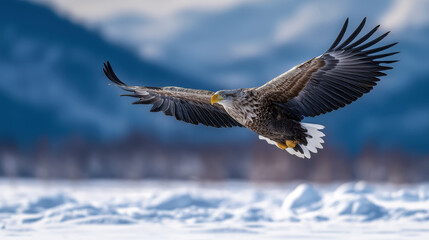 Majestic Eagle Soaring Over Snowy Landscape with Mountains in Background