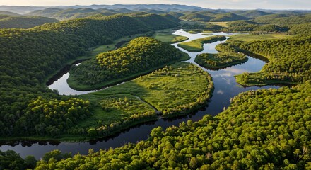 a river running through a lush green forest