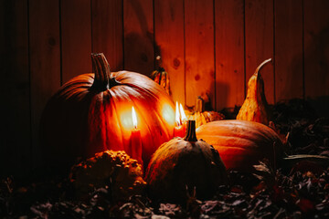 Thanksgiving and Halloween backgrounds.lots of pumpkins in the light of red candles. Pumpkins and...