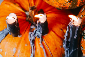 Halloween Candles.Pumpkins with Dripping Black Halloween Candles.Halloween and Thanksgiving...