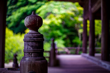 鎌倉25712　妙本寺7　祖師堂