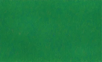 Keuken spatwand met foto Groen Green grass texture background, seamless flat background grass pattern vector illustration  © Marijan