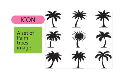 A set of palm tree image
