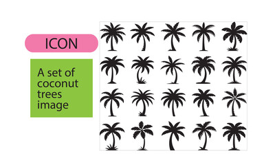 A set of coconut tree.