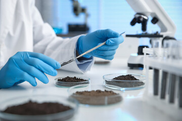Scientist taking soil sample for research at white table in laboratory, closeup