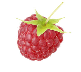 Fresh ripe raspberry isolated on white. Tasty berry
