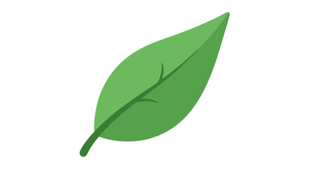 Vibrant minimalist botanical illustration of a fresh green leaf against a pristine white backdrop, suitable for creative projects and design