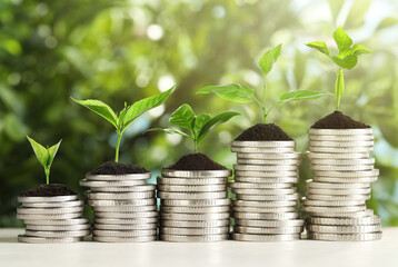 Savings concept. Stacked coins with sprouts on table