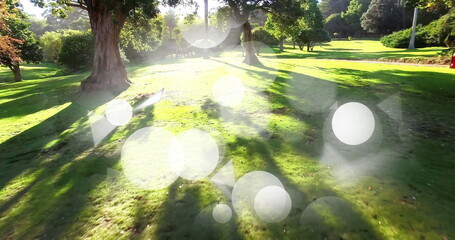 Capturing park lawn and tree trunks basking in sunlight at public park, with lens flare bokeh