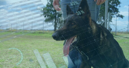 Holding leash, senior dog handler supervising German Shepherd on grassy field, with data overlays