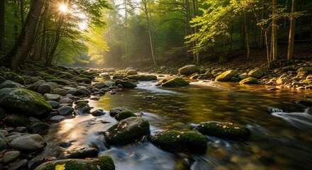 Golden morning sunbeams illuminating a tranquil mountain stream flowing through a dense, verdant forest landscape