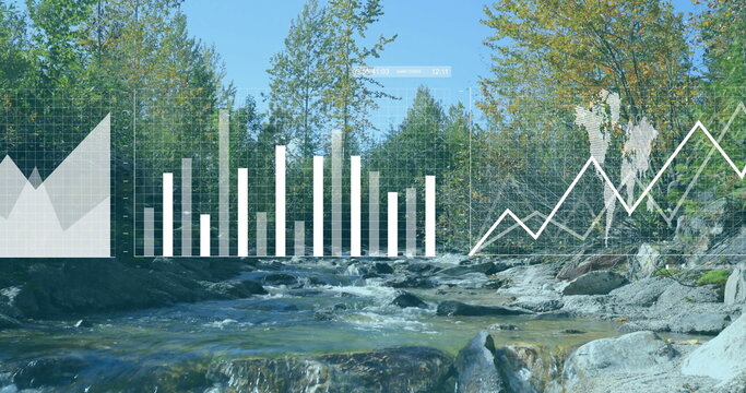Fototapeta Flowing mountain stream rolling over rocks and boulders in pine-oak forest, with digital overlays