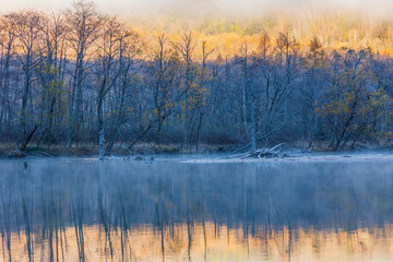 Fototapeta premium 日本の風景 長野 晩秋の上高地 大正池