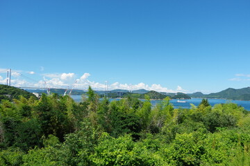 5連つり橋