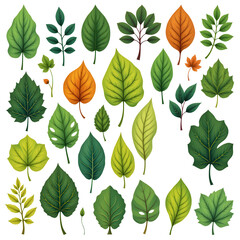 Diverse Collection of Colorful Leaves for Nature and Design Use