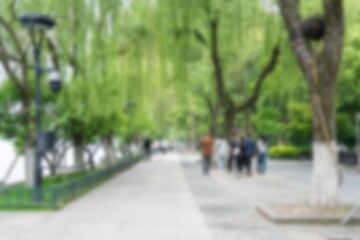 Fototapeta premium A blurred view of a tree-lined pathway with people walking.