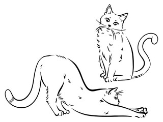 cool illustration. Cat sticker. Best animal.