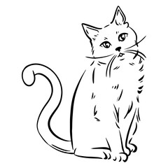 cool illustration. Cat sticker. Best animal.