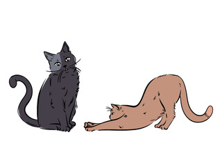 cool illustration. Cat sticker. Best animal.