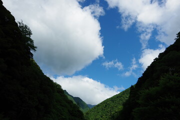 山間の森と空