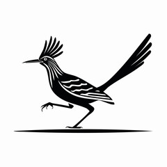 Obraz premium Stylized black and white illustration of a roadrunner bird in motion.