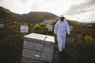 Wooden beehive boxes resting on grassy hillside under overcast sky with rolling green mountains