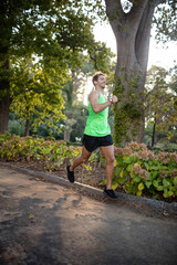 Curved paved path is winding through flowering park shrubs with sunlight filtering through canopy
