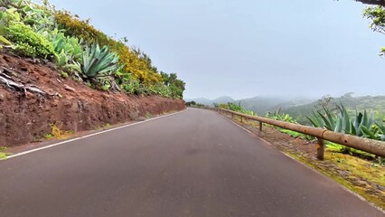 A beautiful meandering road, surrounded by lush greenery and fog, perfect for nature lovers and...