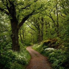 Obraz premium A peaceful path winding through a green forest in spring. -