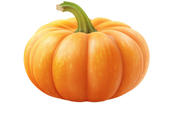 Obraz premium A round orange pumpkin with a green stem, commonly used for autumn and holiday decorations.