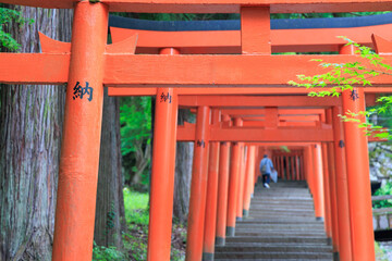 有子山稲荷神社　出石城