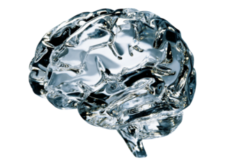 Crystal brain abstract neurological science concept, Isolated On White, Transparent Background, Png Cut Out
