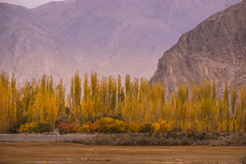 Beautiful Skardu valley, known for its confluence of the Shigar and Indus rivers in the Gilgit-Baltistan region of Pakistan