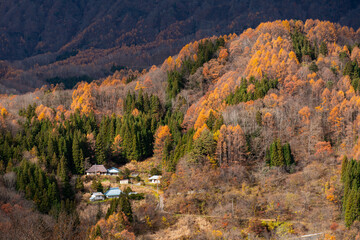 山奥の農家
