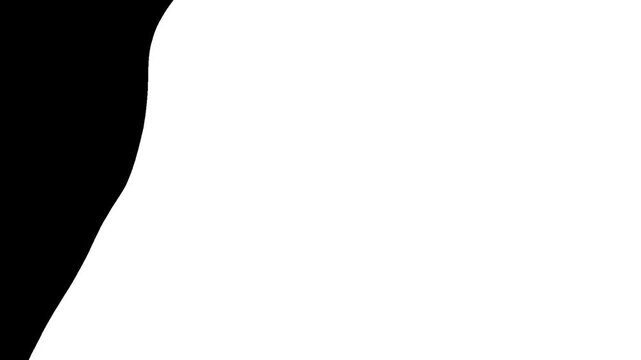 Black and white transition