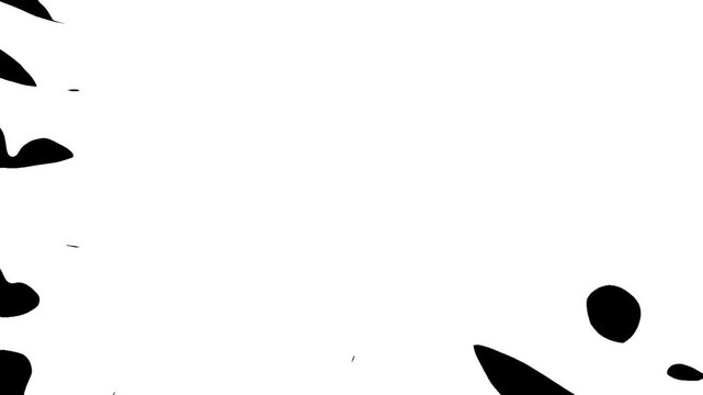 Black and white transition
