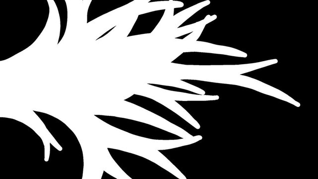 Black and white transition