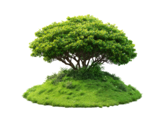 Lush green tree on grassy hill isolated on black background, Isolated On White, Transparent Background, Png Cut Out