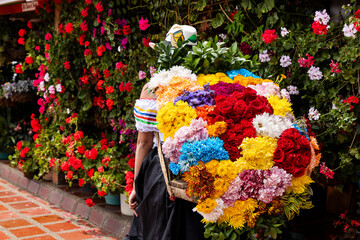 The silleteros farms are a living testimony to the customs and cultural heritage of the nation that...