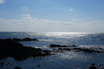 rocks and sea birds with sparkling ripples