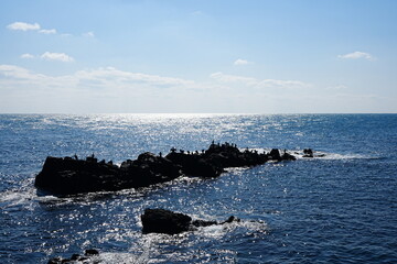 rocks and sea birds with sparkling ripples