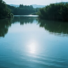 Obraz premium reflection in the water